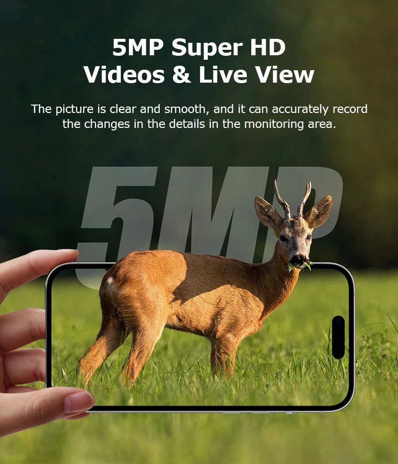 Hunting Trail Cameras 5MP With 940nm Infrared Night Vision Wild Camera Waterproof For Wildlife Monitoring and Scouting