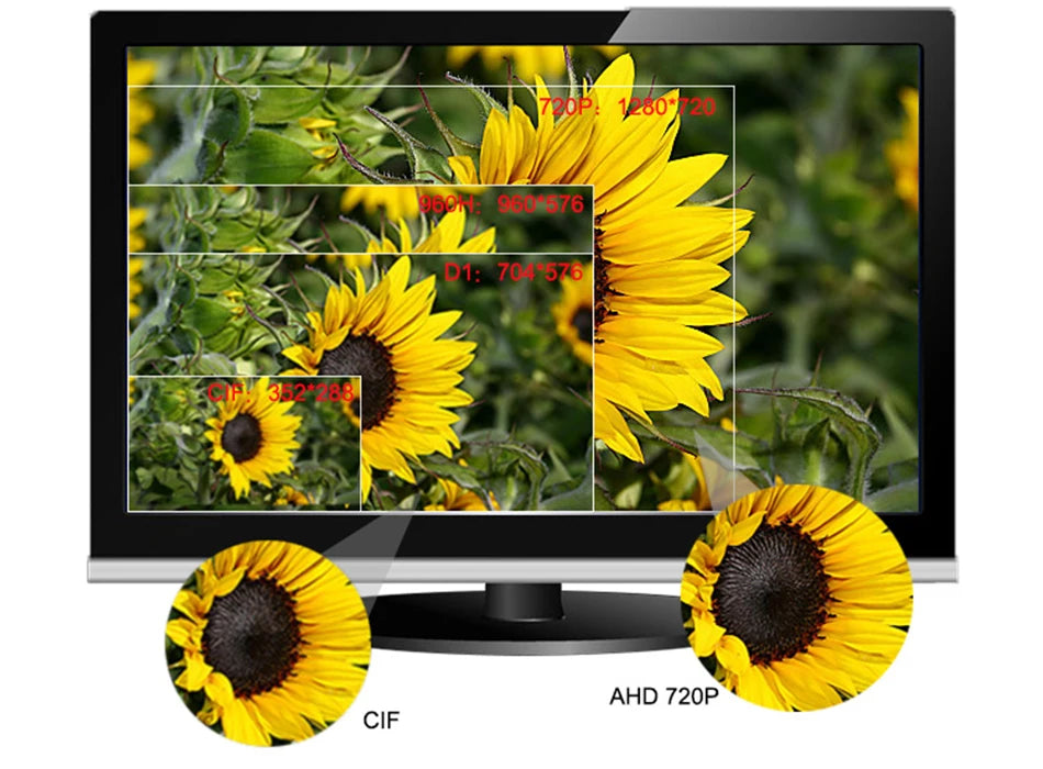 5MP 24H Full Color Night Vision CCTV AHD Dome Camera Indoor 4MP 1080P HD 4Array Luminous Led Digital H.265 For Home Video Sphere