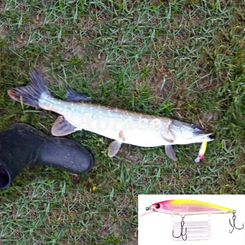 1PCS Laser Minnow Fishing Lures WardBoyzPROShop