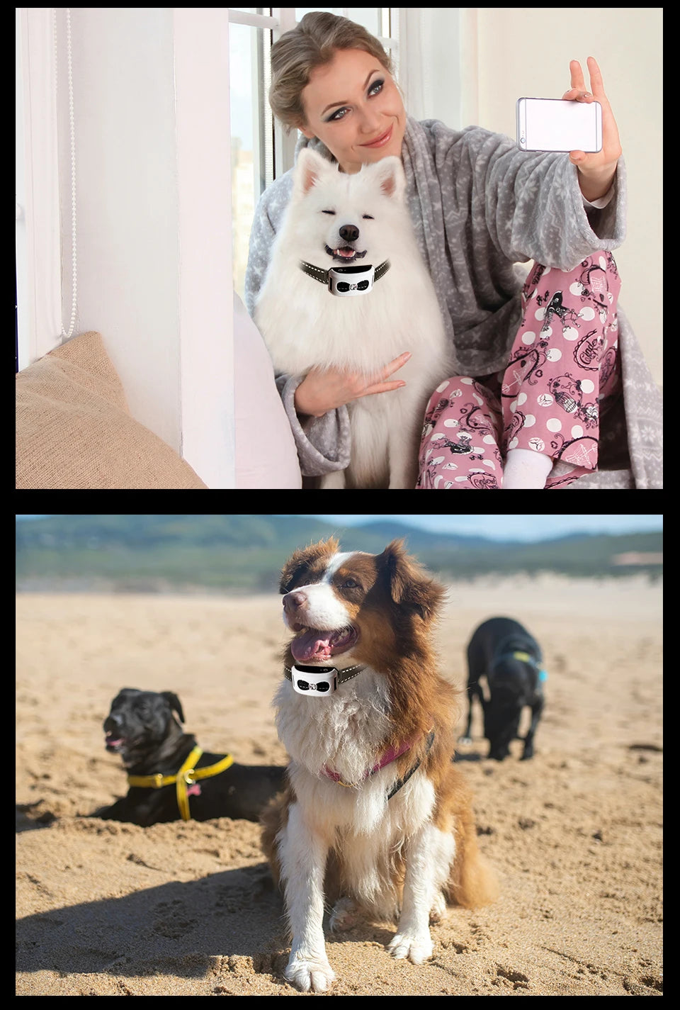 2 IN 1 Wireless Electronic Dog Fence System & Remote Training Collar Beep Shock Vibration and Pet Containment For All Size Puppy