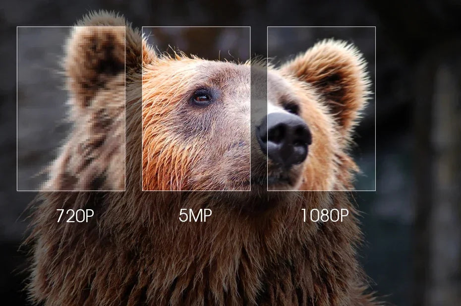 8MP 4K CCTV Dome AHD Camera Indoor 5MP 4MP 1080P Warming Full Color/ Infrared 4in1 Coaxial HD Indoor Home Baby Security Monitor